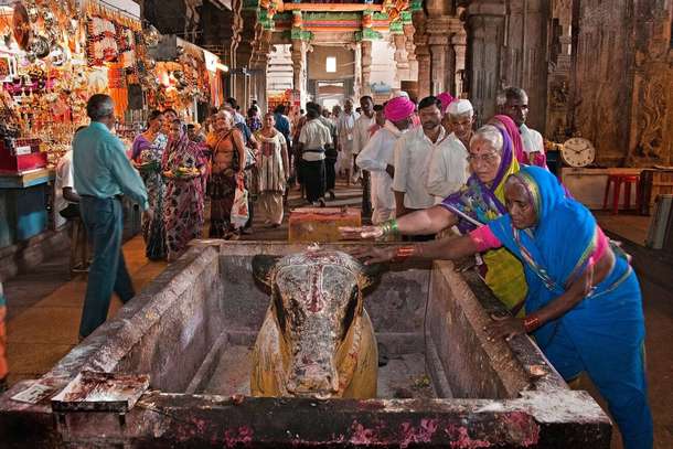 1e43t6w7j3yktlgz847g0xuqw4ru downpic.cc 53617003%20(1)