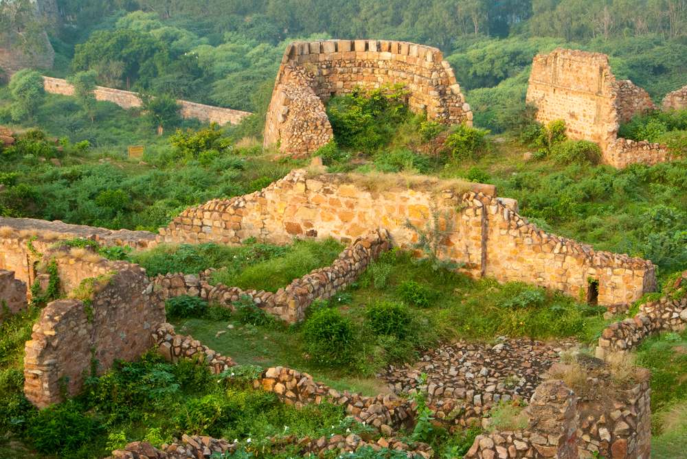 Tughlaqabad Fort Entry Ticket Image