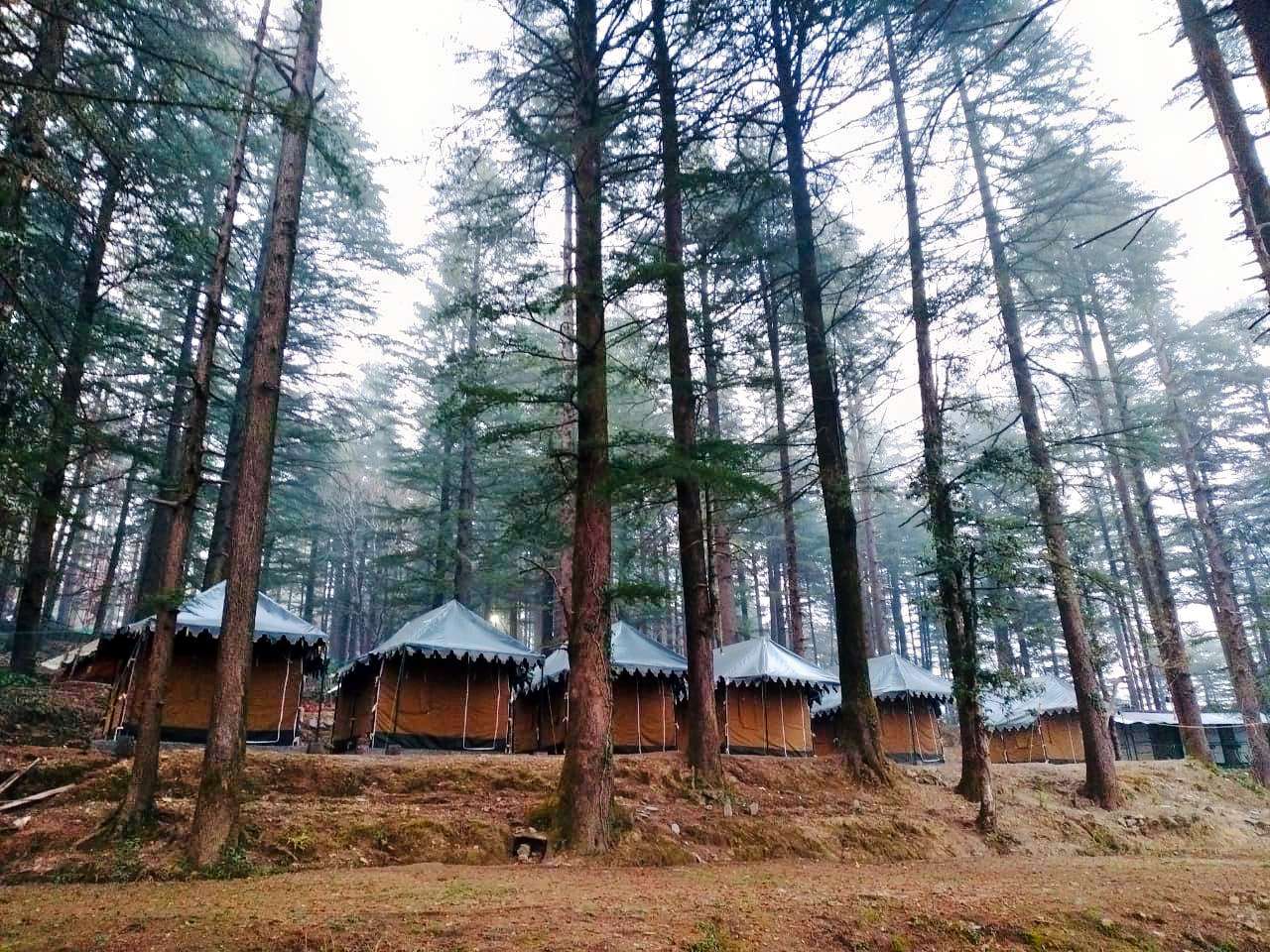 Camping In Mcleodganj With Activities Image