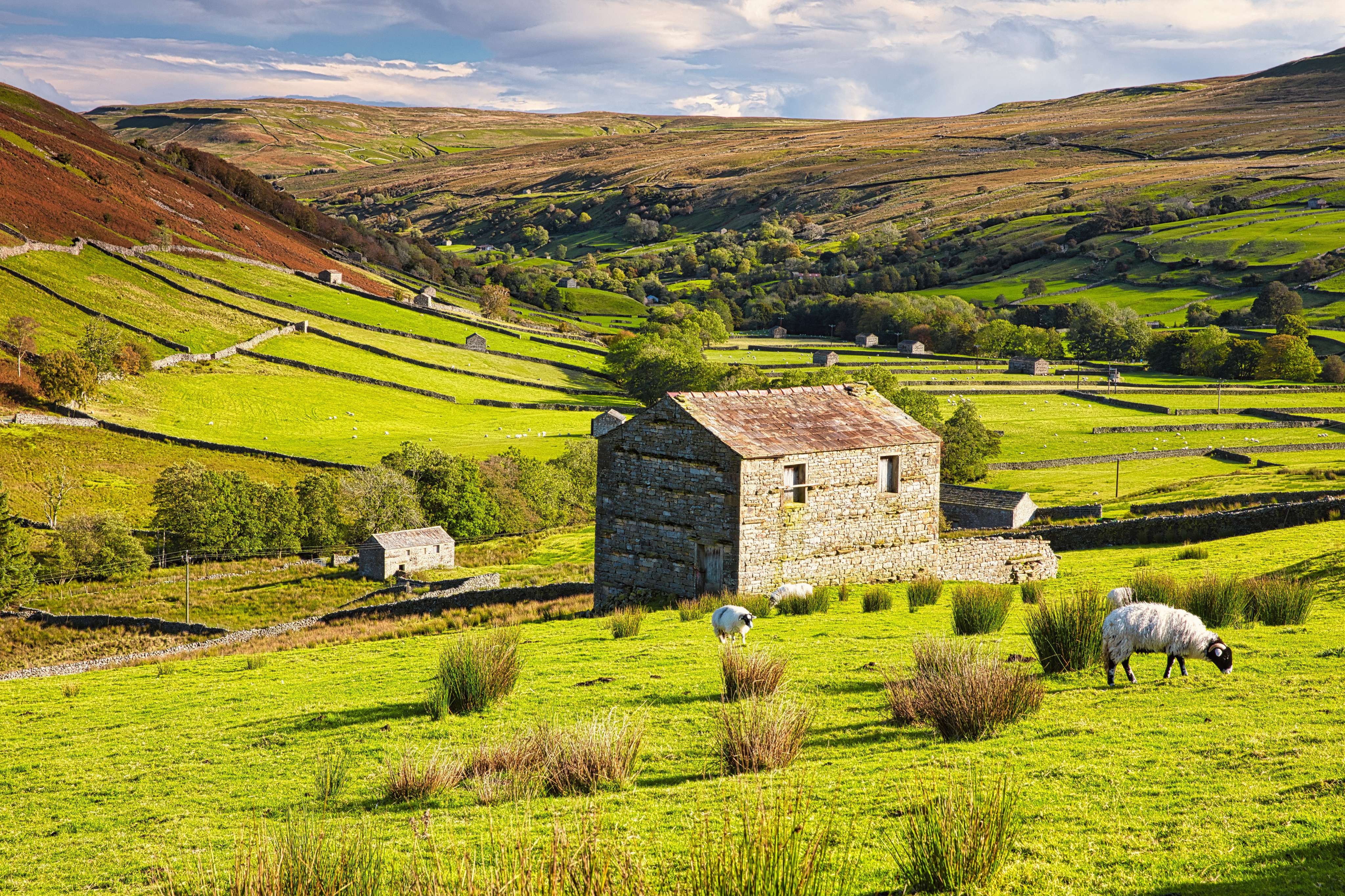 Visit Yorkshire and take a break from city life