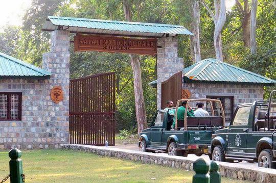 Rajaji National Park Safari Image