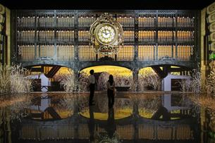 ARTE Museum Dubai Tickets