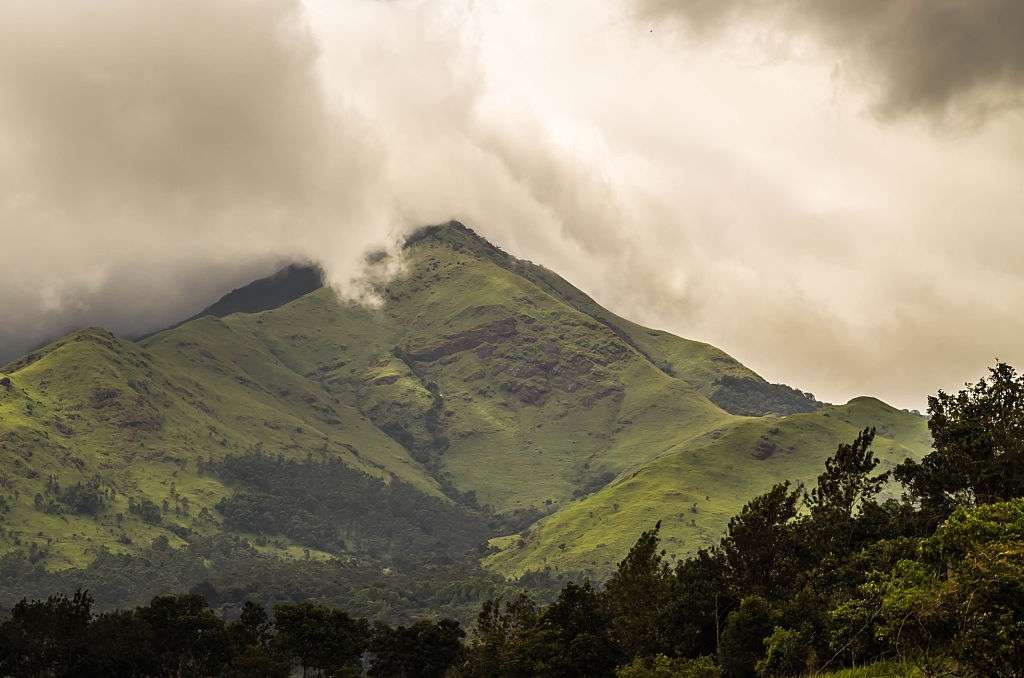 Best of Kerala with Visit to Idukki Wildlife Sanctuary Image