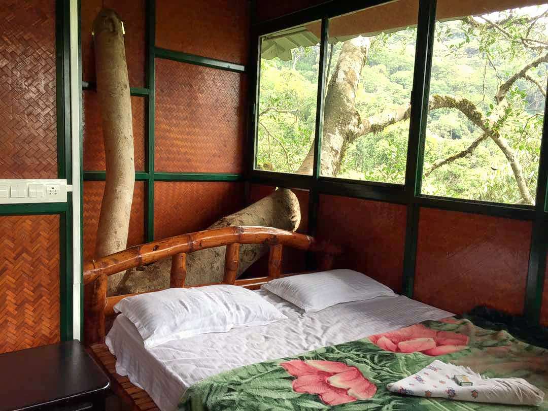 Tree House Stay in Wayanad Image