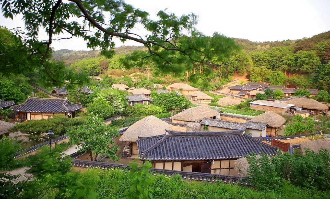 Cultural Day Tour from Busan