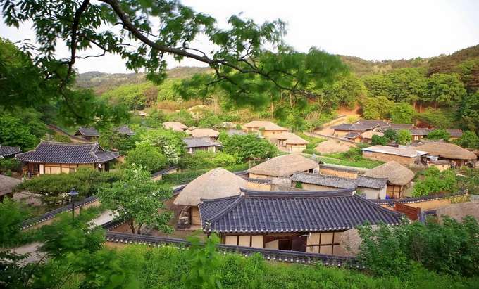 Cultural Day Tour from Busan