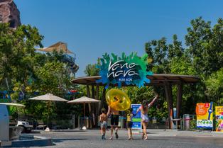 1m9w8cay3a38m7d2aicllrtyyf85 51208263261 35ca67270c o