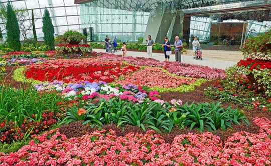 Combo Gardens By The Bay With Marina Bay Sands Skypark and Singapore River Cruise Image