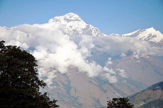 Ghorepani Poon Hill Trek Image