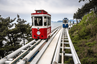 1obcl0cb4dqrnl4sildiaeptairs 52851947478 19005a1e28 b