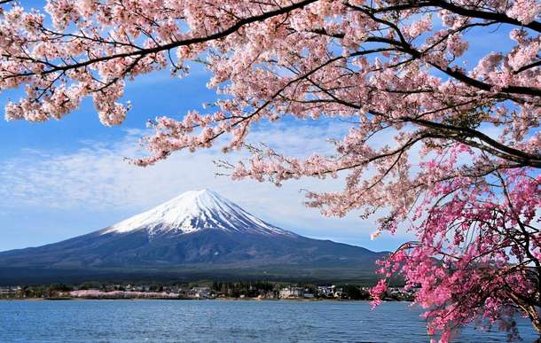 Amazing view of Mt. Fuji 