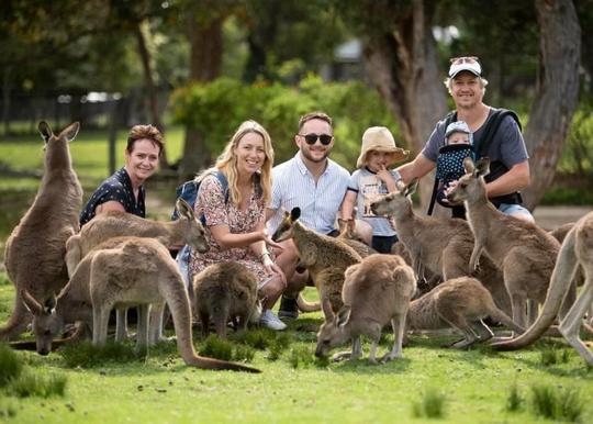 Symbio Wildlife Park Tickets Image