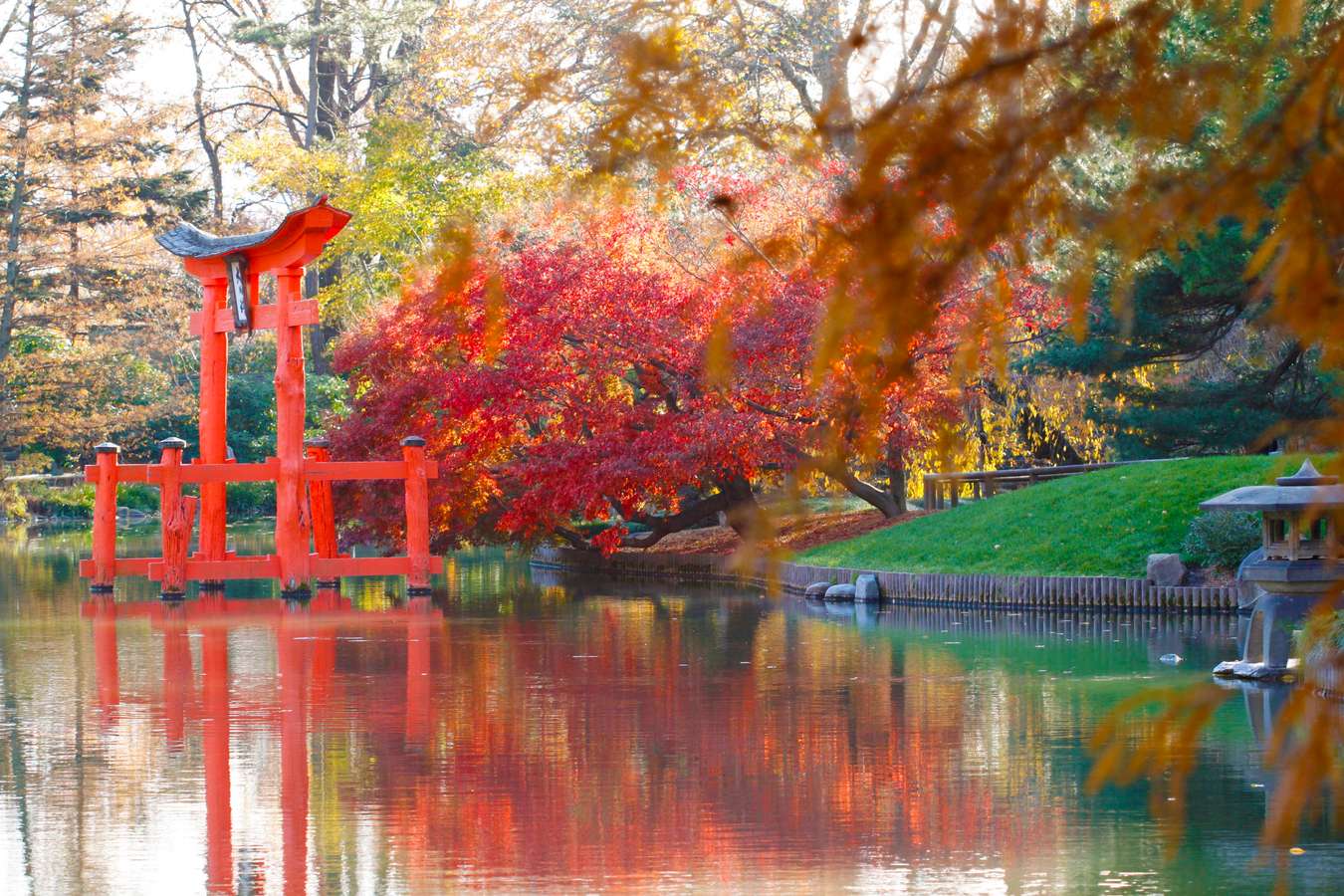 Admire the picturesque view of the Japanese garden