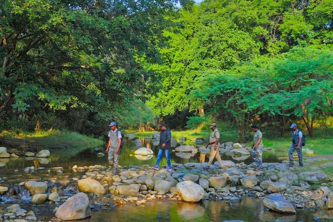 Experience riverside walking paths perfect for casual nature lovers