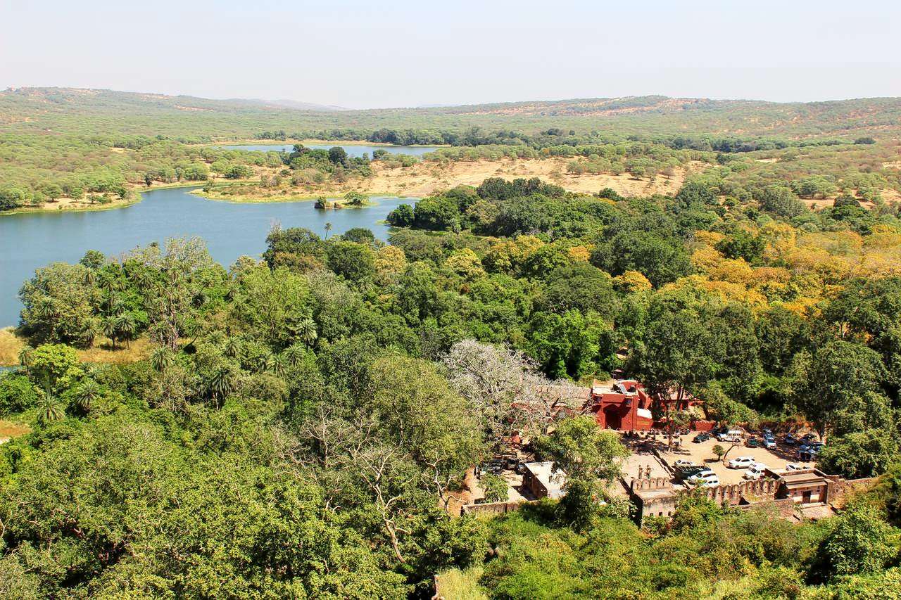 Aerial view of the resort 