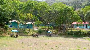 Exterior View of the Cottages