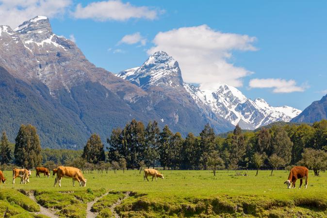 Mount Aspiring National Park