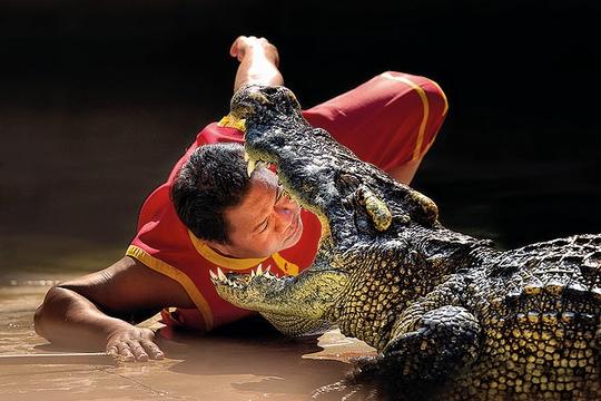 Sriracha Tiger Zoo Pattaya Tickets Image