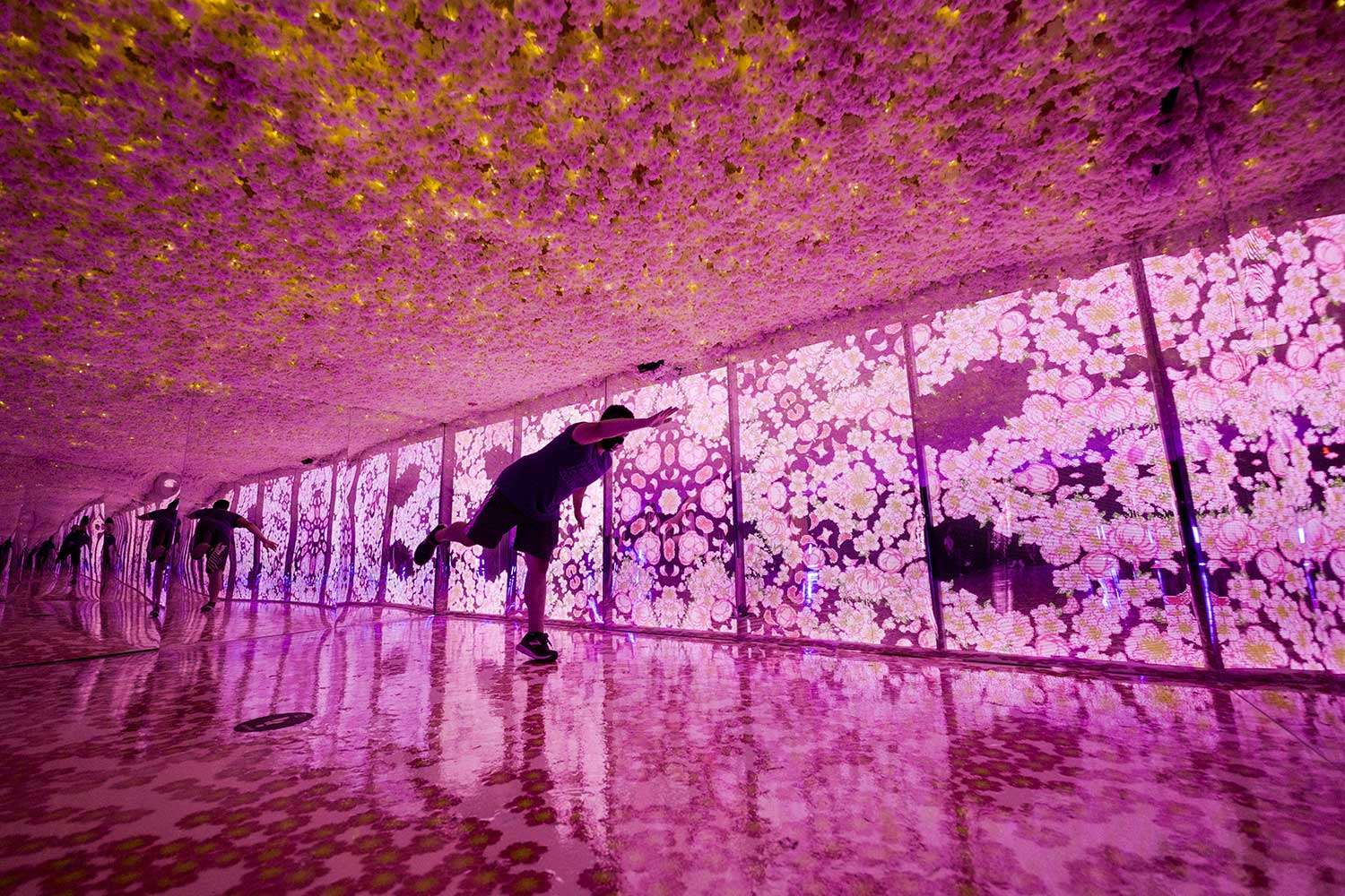 Spend a day at the ARTECHOUSE DC in Washington 