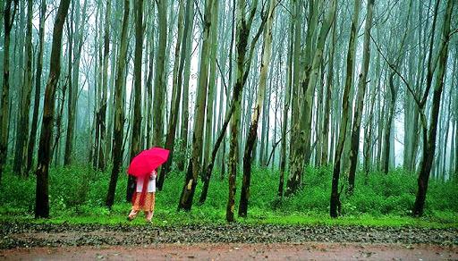 Pachmarhi Tour From Bhopal Image