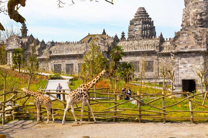 Welcome to the beautiful Pairi Daiza Zoo