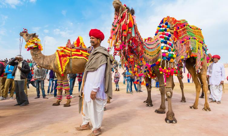 Bikaner Camel Festival