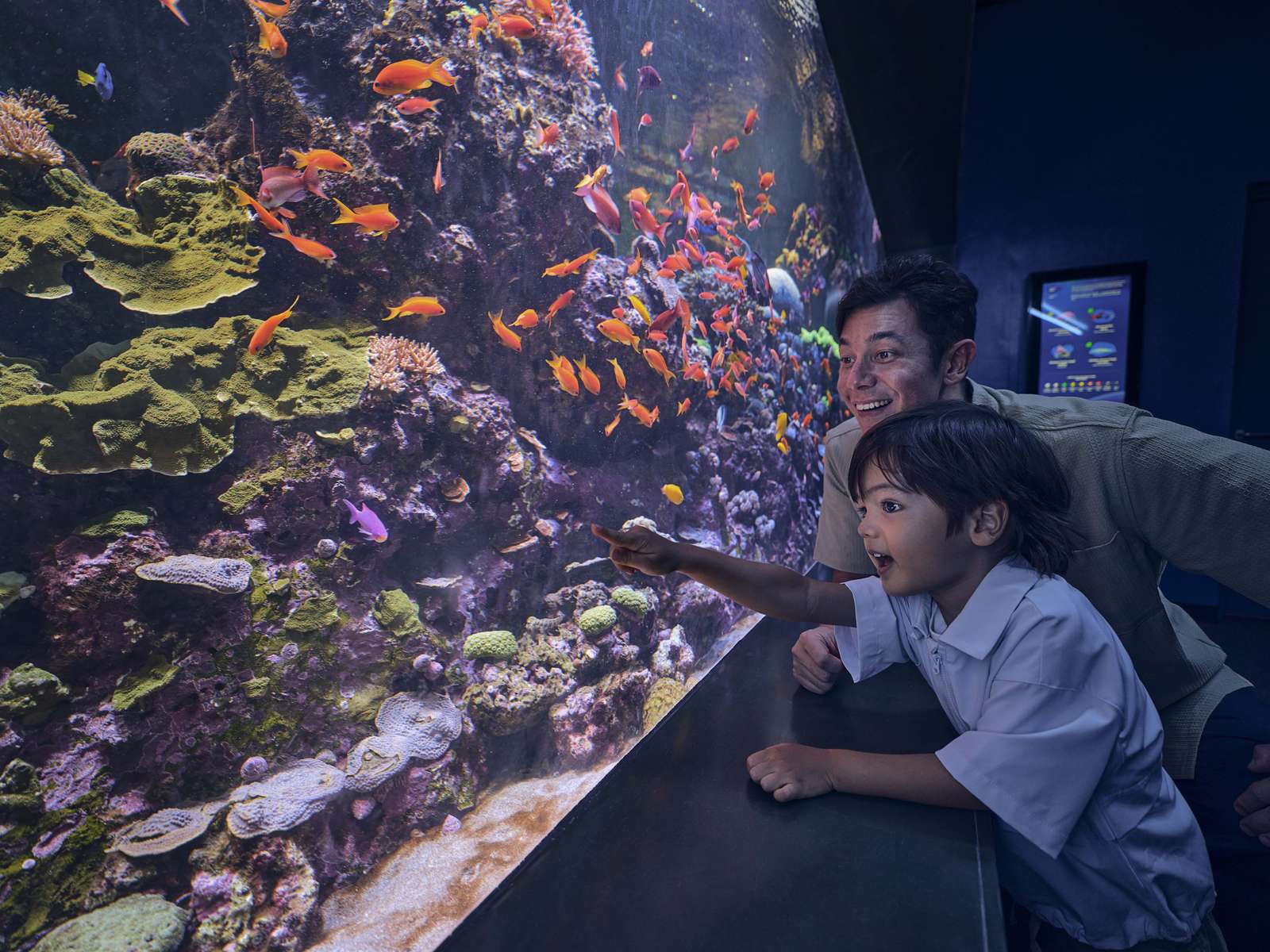 Singapore Oceanarium Tickets Image