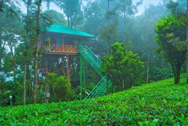 Dream Catcher Resort, Munnar | Luxury Staycation Resort