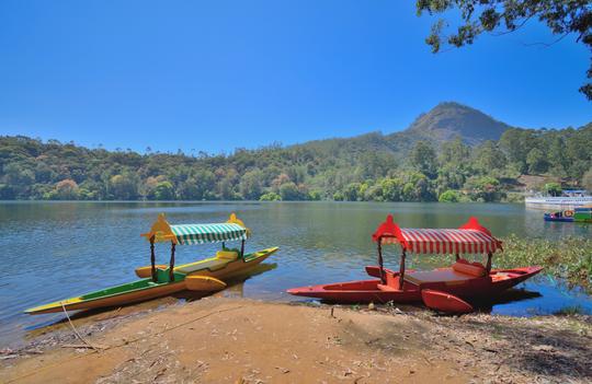 Munnar Sightseeing Tour Image