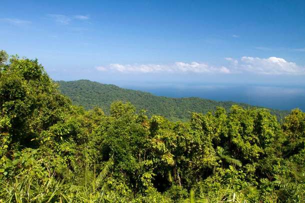 23idf3dpzc5qviqlpcr6s775l43z downpic.cc 95875695