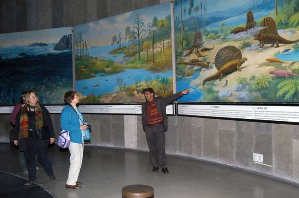 Gain deeper perspectives with a knowledgeable guide by your side