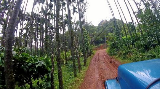 Offroad Jeep Ride In Kyathanamakki | Flat 9% Off Image