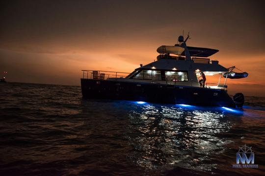 Night Skyline Cruising in Goa Image