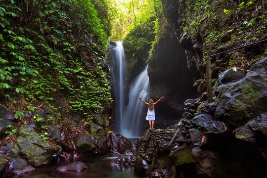 Trek to Gitgit Waterfalls Image