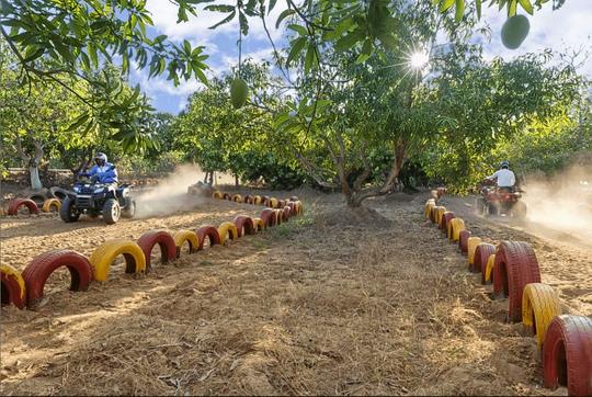 Esthell Resort Chennai Image