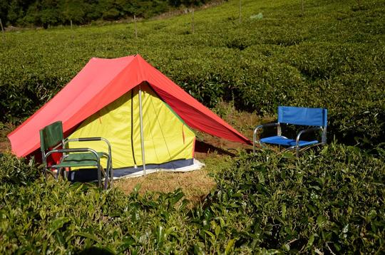 Camping By Tea Gardens Ooty Image