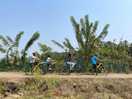 Exploring Nature trail at Chorao Island  Image