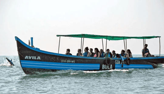 Snorkelling And Bat Island Trip In Goa Image