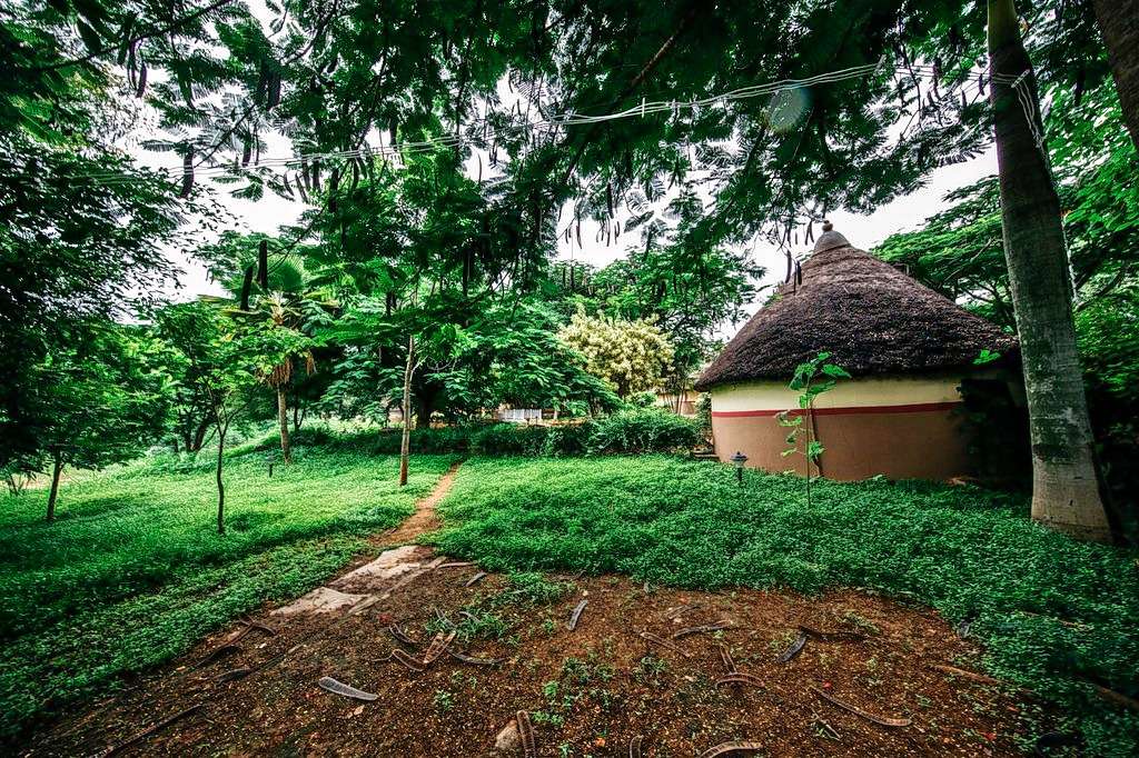 Jain Farms Bangalore Day Out Image