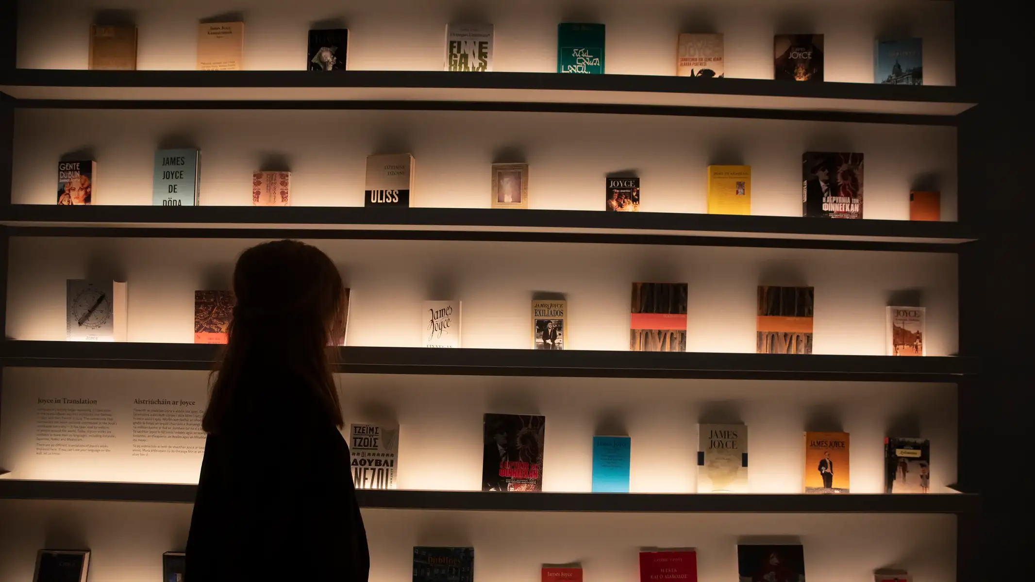 Museum of Literature Ireland Tickets Image