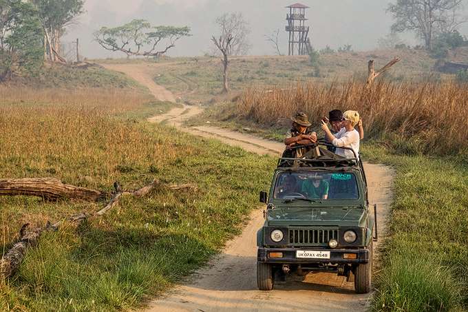 Rajaji National Park Safari from Dehradun