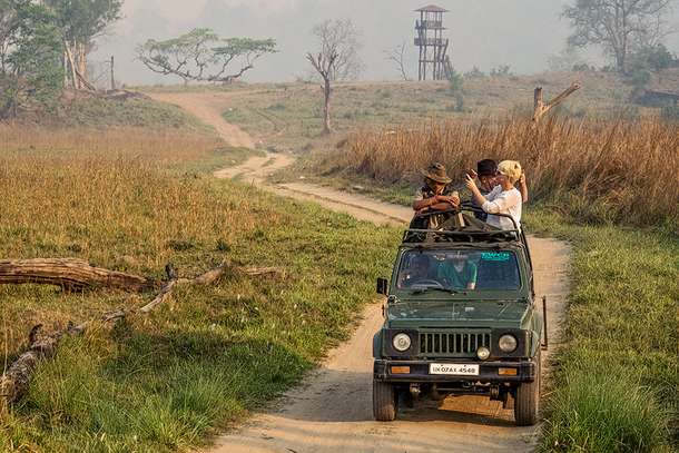 Rajaji National Park Safari from Dehradun