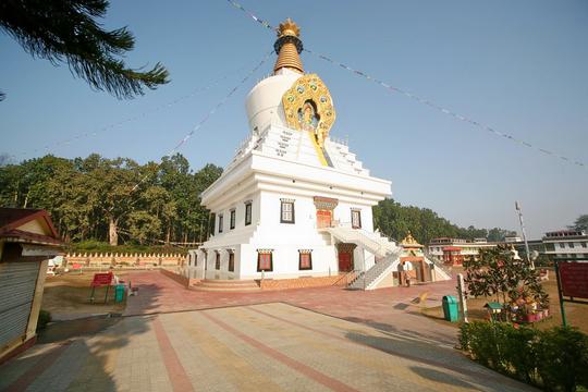 Bicycle Rental In Dehradun Image
