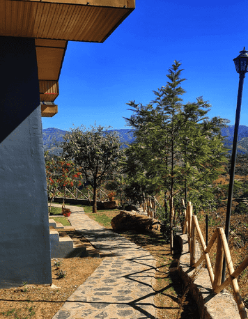 2bonpunba737ps8ym6ssn55cetqh shom1