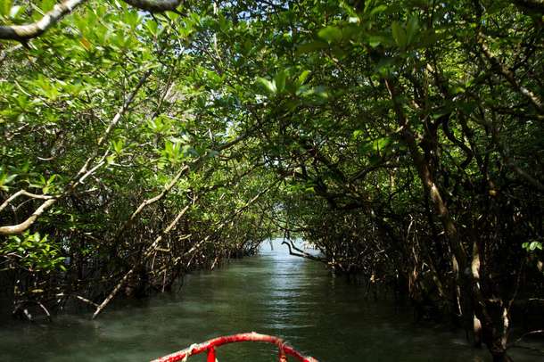 2bqm8zrl2r5anbrjnur2xaty9f02 bartang%20island 1