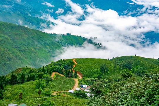 Gangtok Darjeeling Sikkim Family Package Image