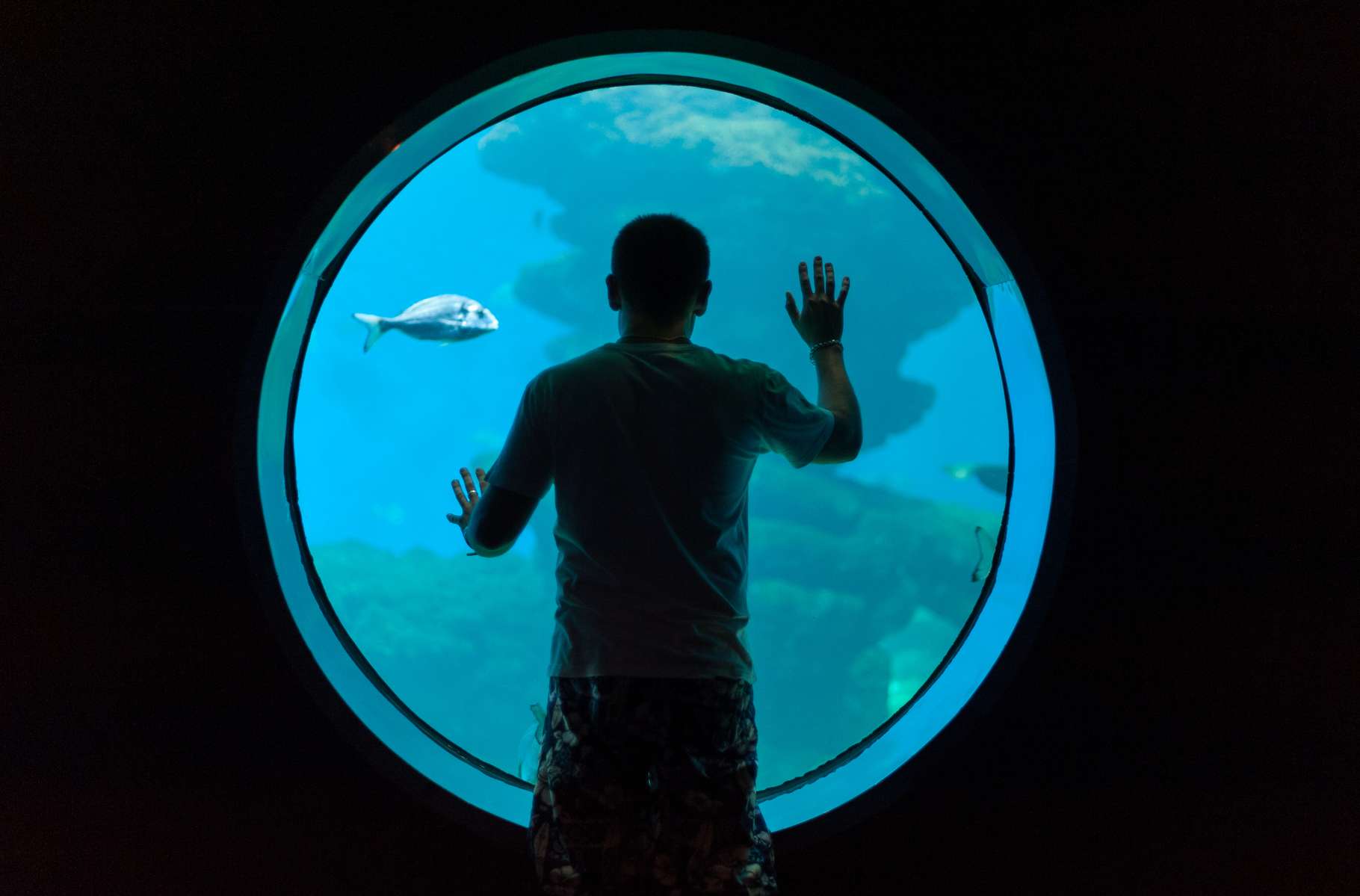 Palma Aquarium Tickets Image