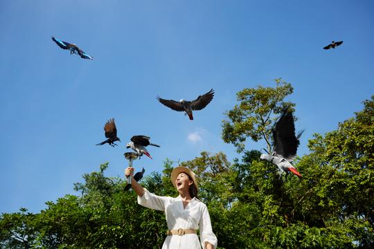 Bird Paradise Tickets Image