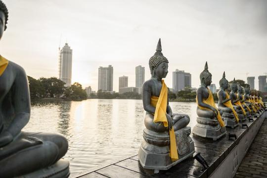 5 Nights New Year Extravaganza in Srilanka Image