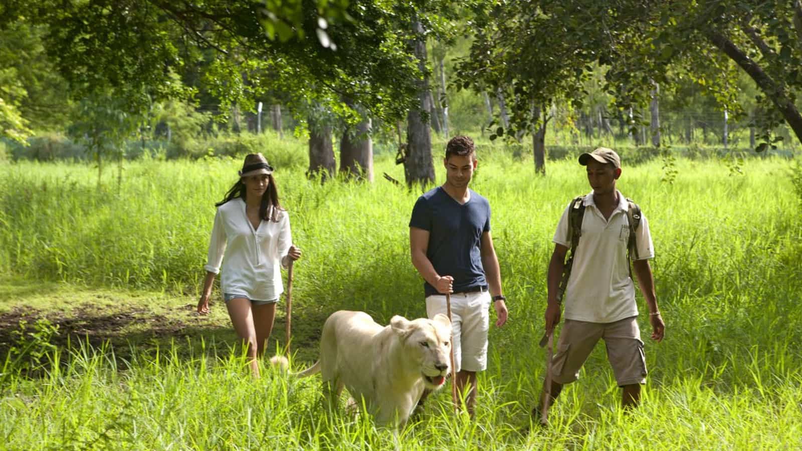 Captivating Mauritius Family Package